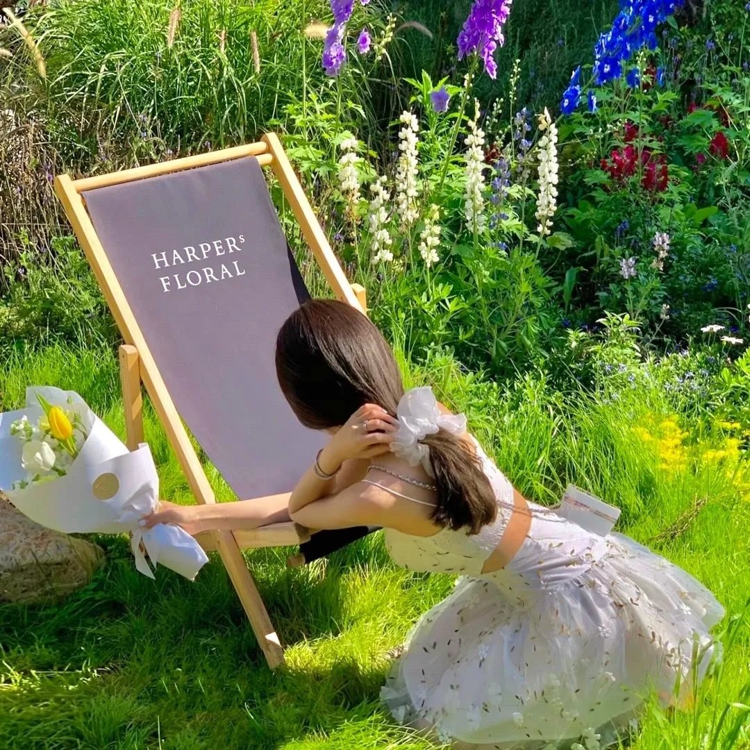 我在古代搞基建